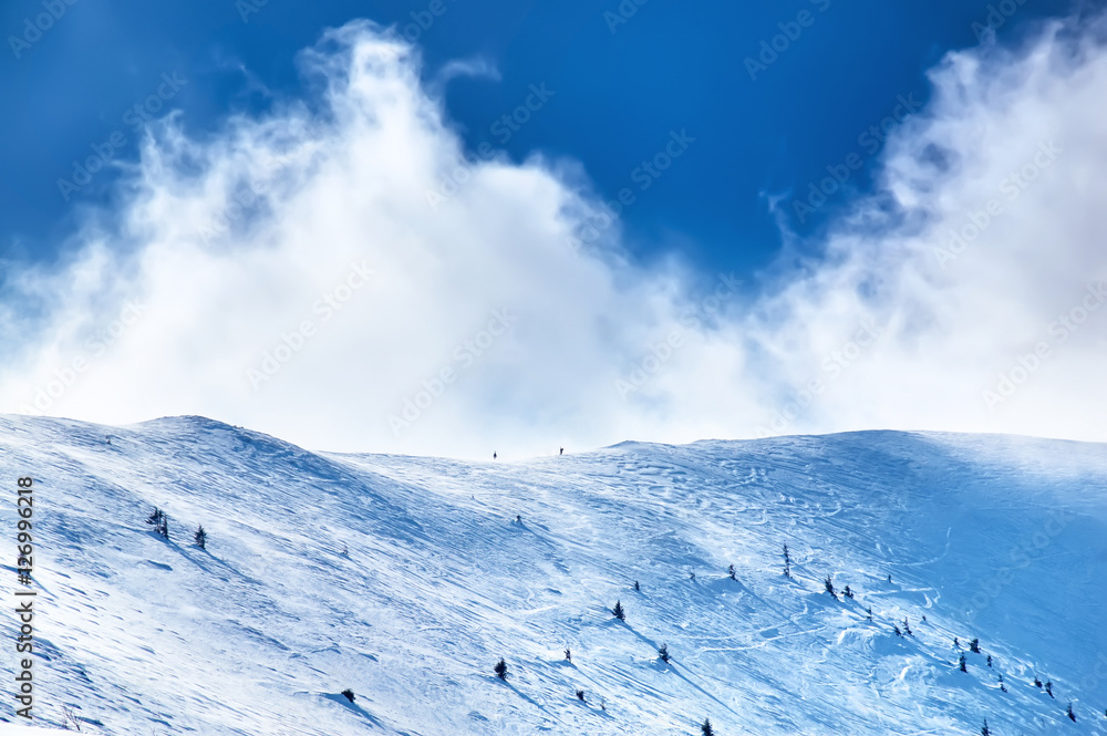 Winter landscape with snow covered trees and snowstorm