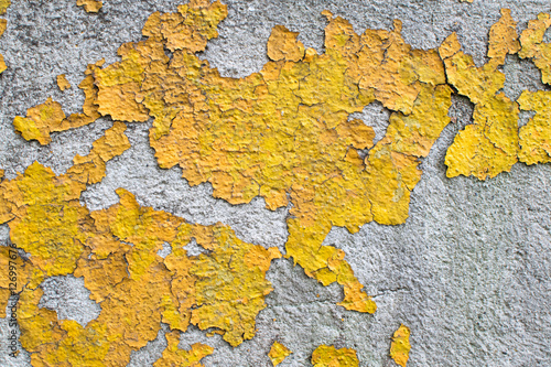 peeling yellow paint © aktober