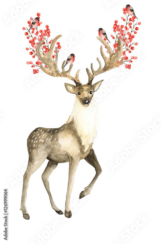 Deer and bullfinches. Watercolor hand drawn