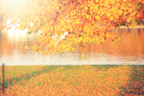 Bright autumn background