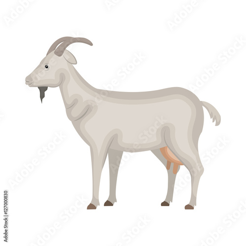 goat animal farm icon vector illustration design © Gstudio