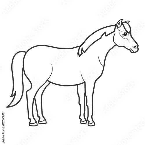 horse animal farm icon vector illustration design