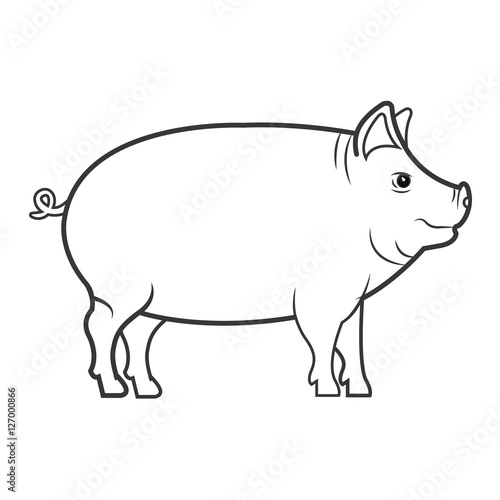 pig animal farm icon vector illustration design