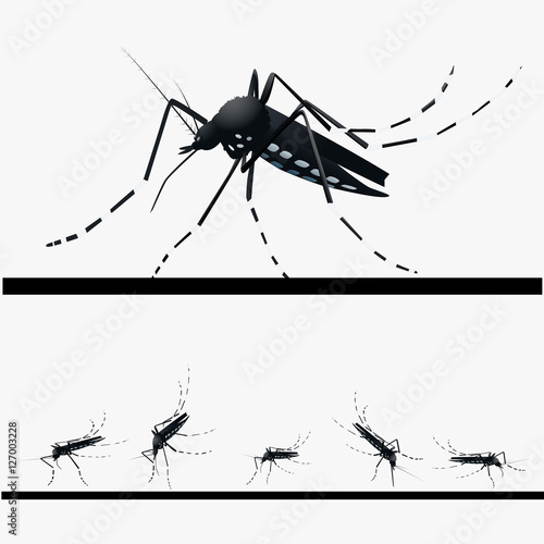 Mosquito set.