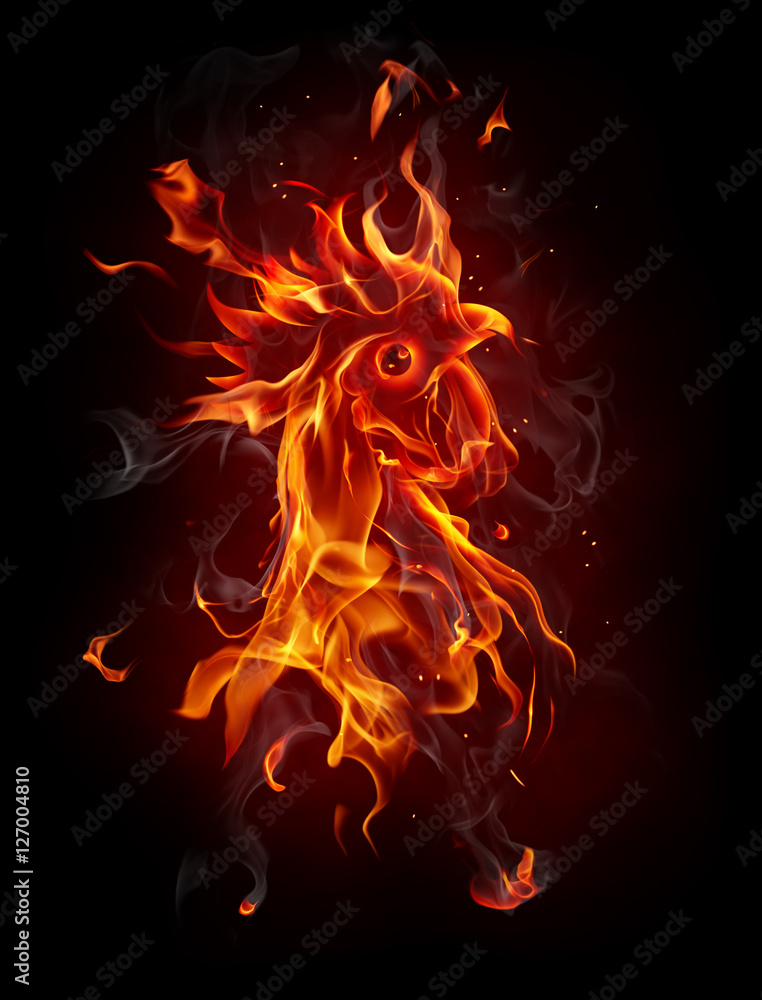 Fototapeta premium Fire rooster, symbol of 2017 on the Chinese calendar