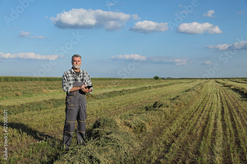 Farmer or agronomist examine clover  field after harvest using tablet