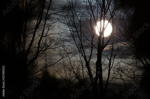 Full Moon Peeking Through Branches © moneycue_canada