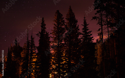 The Night's on Fire