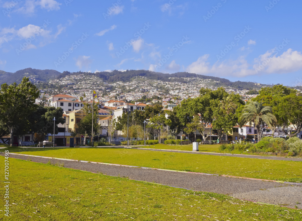 Portugal, Madeira, Funchal, View of Almirante Reis Park..