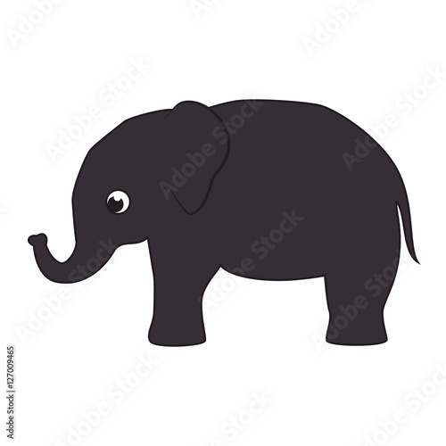 elephant animal big isolated vector illustration design © Gstudio