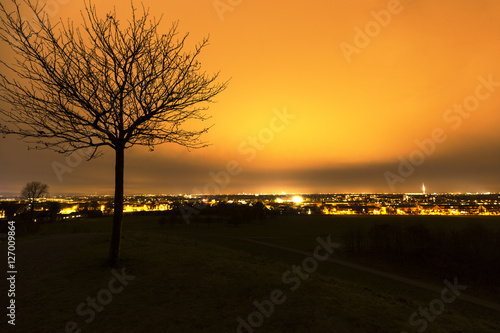 Ein Baum vor der gro  en Stadt