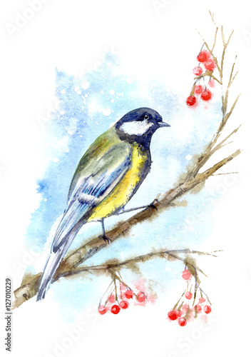 Postcard with titmouse and rowan branch.Chickadee bird.Winter image.Watercolor hand drawn illustration.
