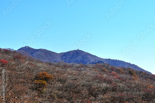 鈴鹿山脈 紅葉