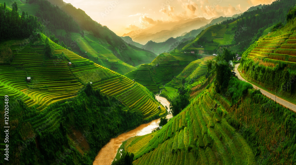 Terraced rice field in Mu Cang Chai, Vietnam - obrazy, fototapety, plakaty 