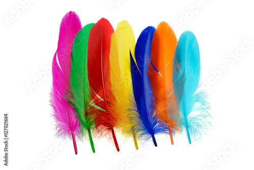 Bright feathers background