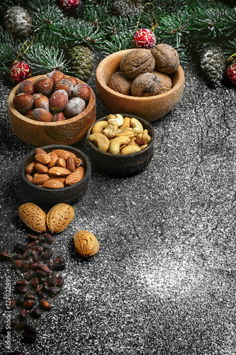 Forest nuts nuts for Christmas