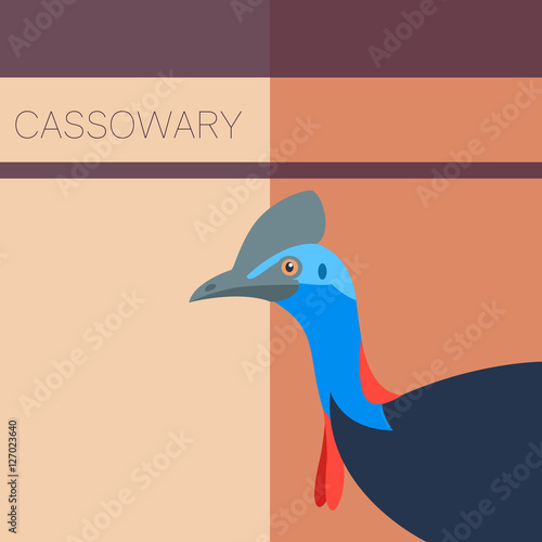 Cassowary Flat Postcard