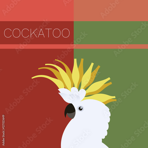 Cockatoo flat postcard