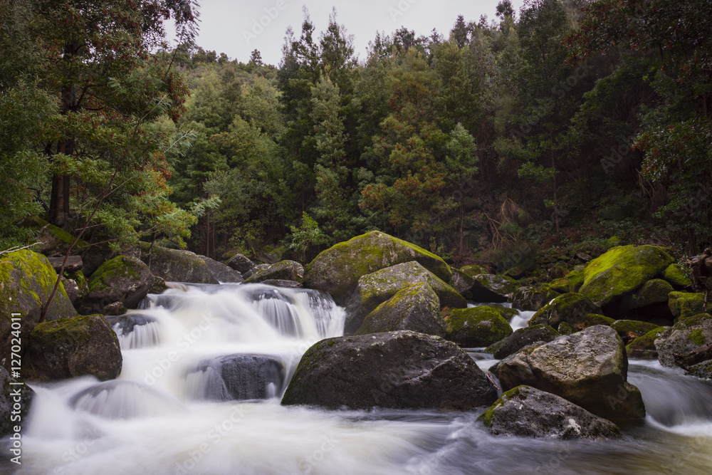 wild river flowing in the mountain wild river flowing in the mountain