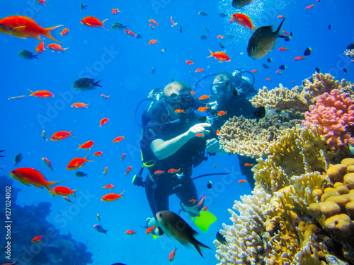Дайвинг у коралловых рифов в Египте