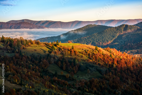 foggy and hot sunrise in Carpathian mountains