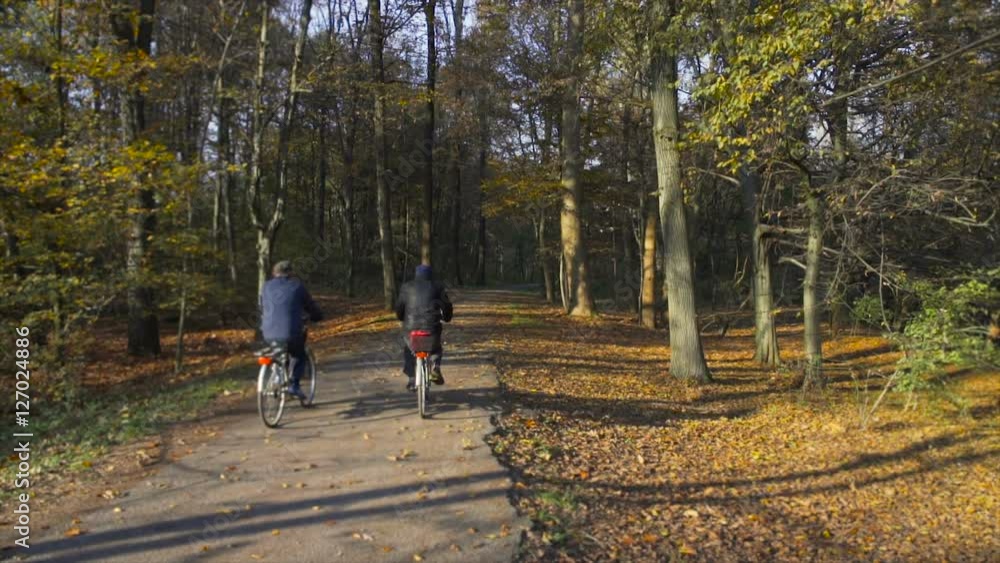 Old men riding bikes on an alley of a park in autumn Old men riding bikes on an alley of a park in autumn