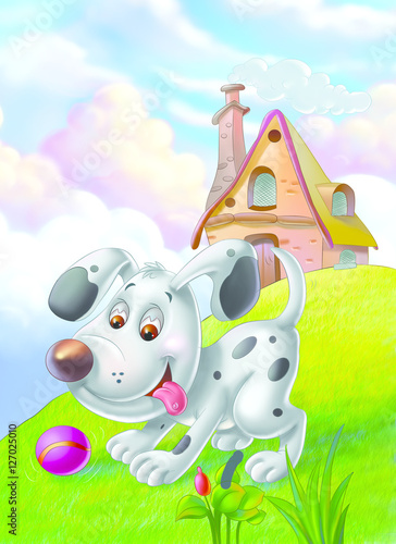 Dog