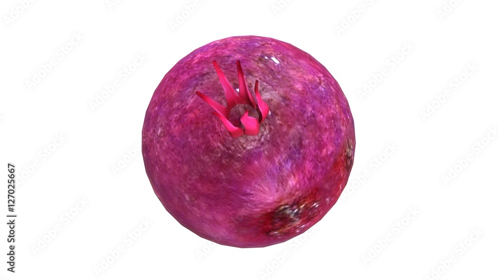 Fototapeta premium Beetroot