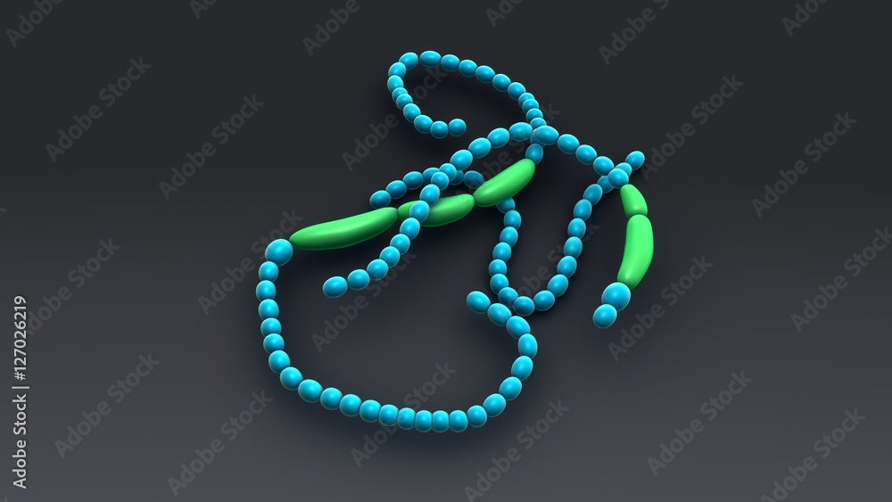 Anabaena Anabaena