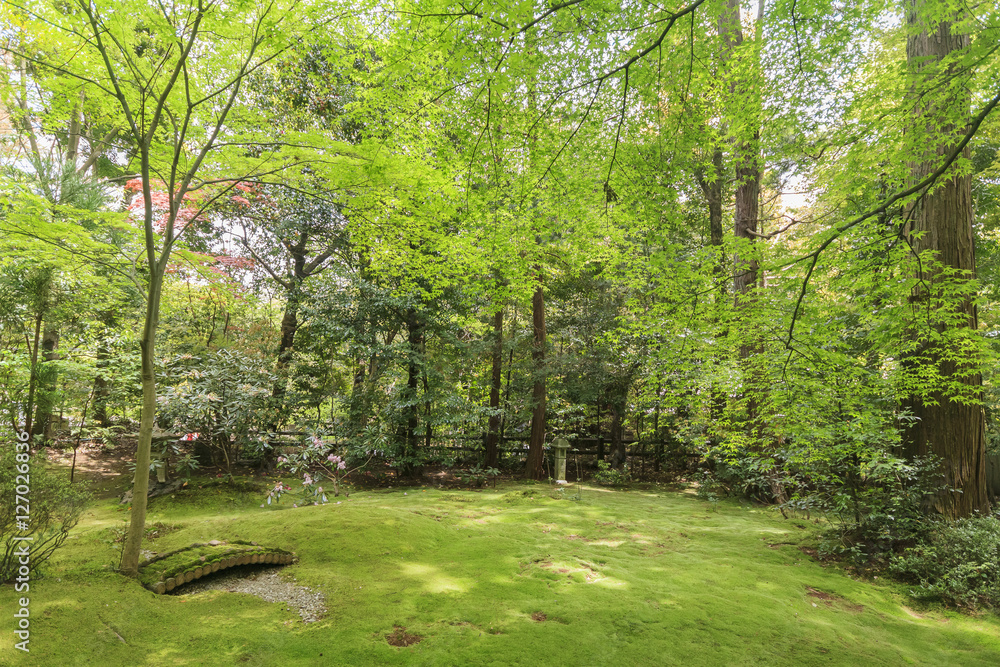 Fototapeta premium Piękna scena w pobliżu ogrodu Okochi Sanso
