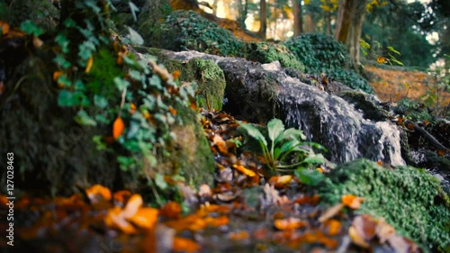 Small waterfall in autumn in slow motion with leaves rocks and vegetation
