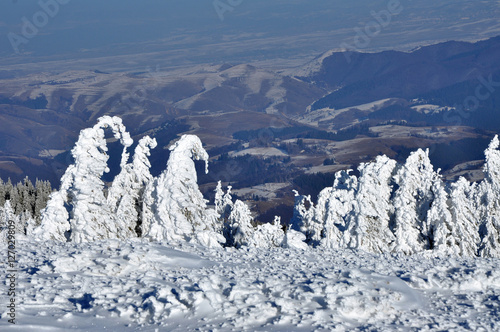 Wallpaper Mural Winter landscape with snow covered trees Torontodigital.ca