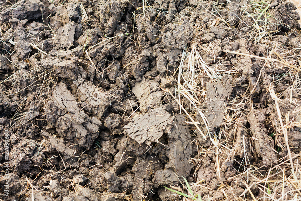 soil texture soil texture