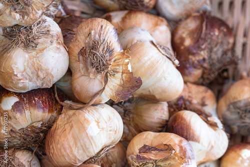 Different types of garlic on food market
