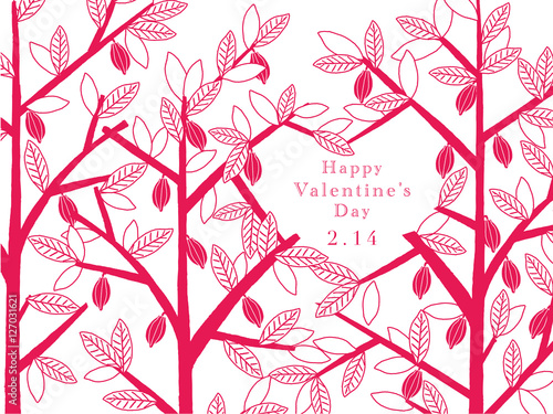 バレンタイン　カカオの木