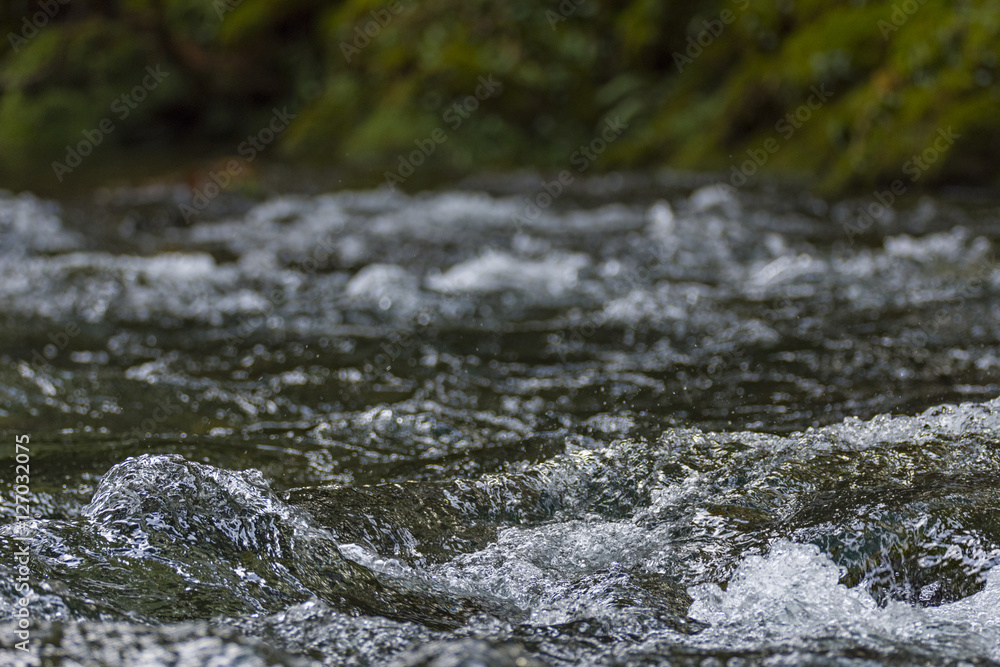 Fototapeta premium water flowing ina mountain river