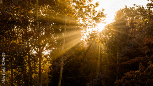 Beams of rising sun © JonikFoto.pl