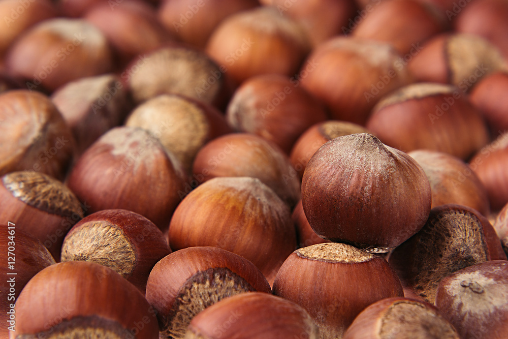 Hazelnut background. Pile of selected hazel close-up. For vegetarians. Hazelnut background. Pile of selected hazel close-up. For vegetarians.