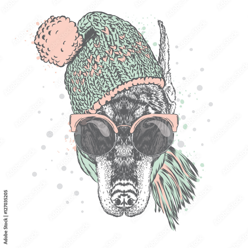 doberman winter hat