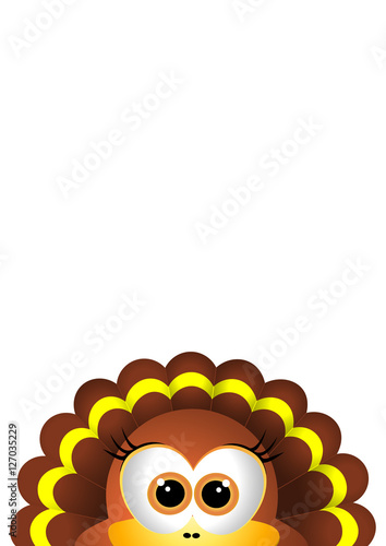Thanksgiving turkey on white backgroud