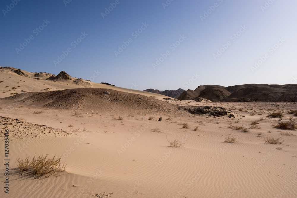 dunes dunes