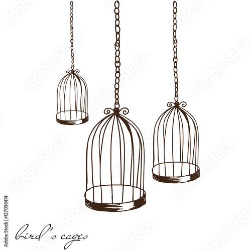 Bird cage