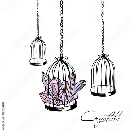 Bird cage