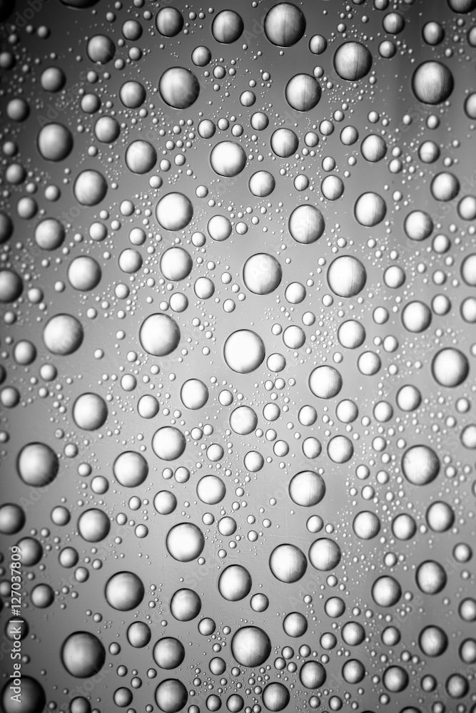 bw photo water drops of on treat water-repellent surface in macro lens shot small-DOF for screen wallpapers bw photo water drops of on treat water-repellent surface in macro lens shot small-DOF for screen wallpapers