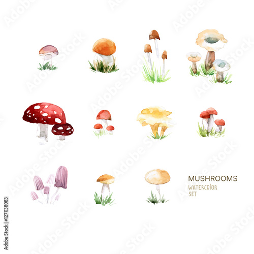Vector set of watercolor mushroom elements on white background.