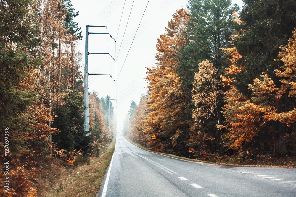 Autumn in Poland