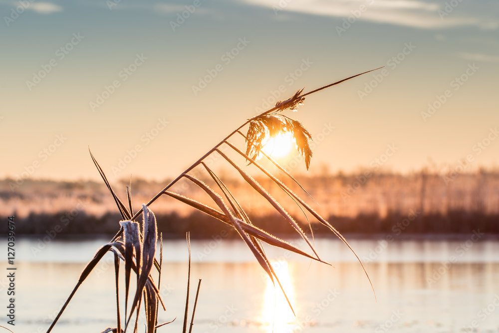 Obraz premium sonnenaufgang prerower strom