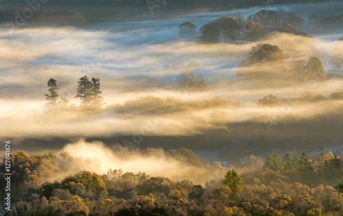 Autumn woodland valley covered in layers of soft milky mist with sunlight warming the landscape. Lake District, UK.