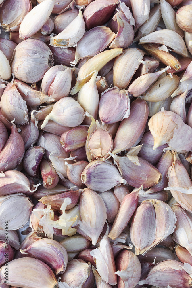 garlic background. over light garlic background. over light