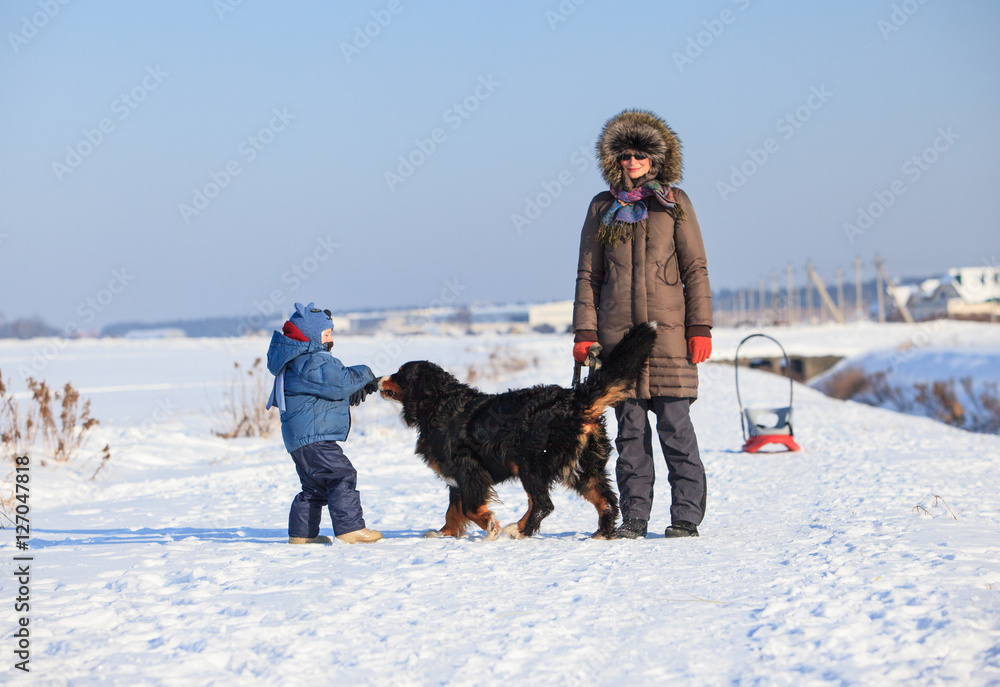 Mother and her little son playing with bernese mountain dog on cold winter day. 